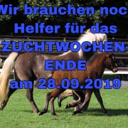 Zuchtwochenende 28.09.2019 in Roderath