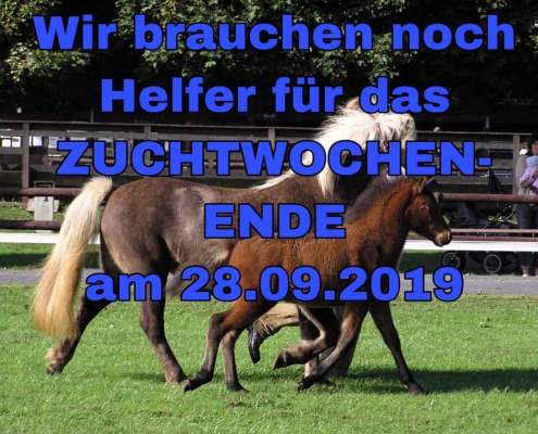 Zuchtwochenende 28.09.2019 in Roderath